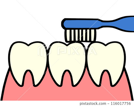 Instructions on how to brush your teeth, illustration material of small movements Instructions on how to brush your teeth, illustration material of small movements 116017756