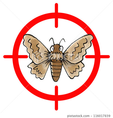 Moth target mark 116017839