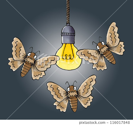 Moths gathering in a light bulb 116017848