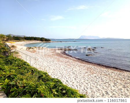 Beautiful beach in Sardinia. View of the blue sea. Beautiful beach in Sardinia. View of the blue sea. 116017861