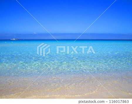 Beautiful sea in Sardinia, Italy. Blue clear water sea in Italy. Beautiful background with sea. Beautiful sea in Sardinia, Italy. Blue clear water sea in Italy. Beautiful background with sea. 116017863