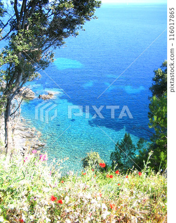 Beautiful sea. Island Elba in Italy. Bright background with view sea. Beautiful sea. Island Elba in Italy. Bright background with view sea. 116017865