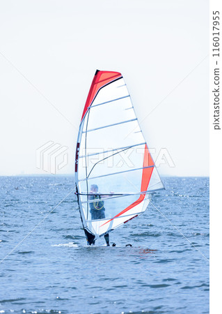 Windsurfing around the water in the refreshing breeze Windsurfing around the water in the refreshing breeze 116017955