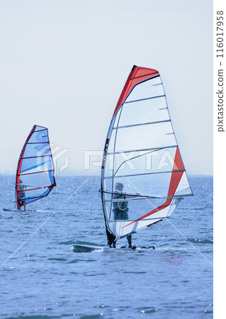 Windsurfing around the water in the refreshing breeze Windsurfing around the water in the refreshing breeze 116017958