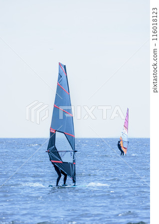 Windsurfing around the water in the refreshing breeze 116018123