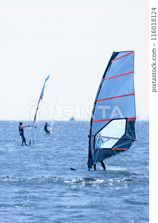 Windsurfing around the water in the refreshing breeze Windsurfing around the water in the refreshing breeze 116018124