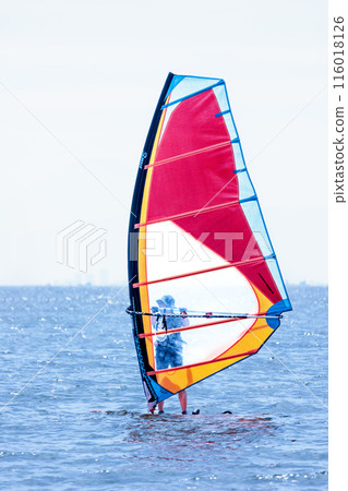 Windsurfing around the water in the refreshing breeze 116018126