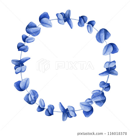 Circular frame with blue eucalyptus spiral branch on the white background. Watercolor illustration Circular frame with blue eucalyptus spiral branch on the white background. Watercolor illustration 116018378