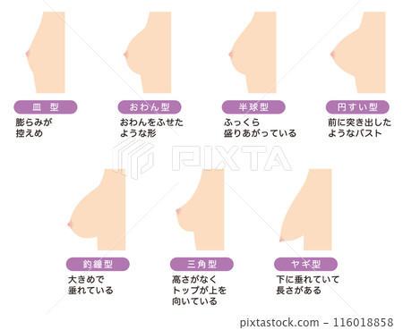 胸型類型 116018858