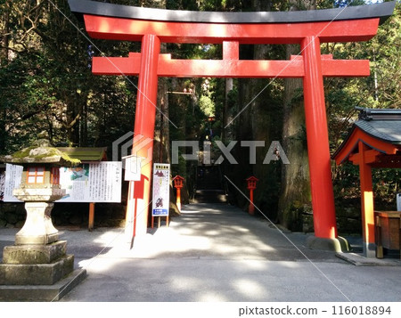 Shinto shrine torii Shinto shrine torii 116018894