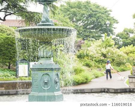 Early summer at Minato no Mieru Park in Naka Ward, Yokohama City, Kanagawa Prefecture Early summer at Minato no Mieru Park in Naka Ward, Yokohama City, Kanagawa Prefecture 116019018