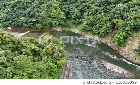 城山大壩下游的新綠相模川 116019059