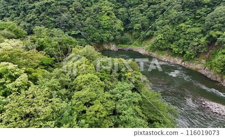 鮮綠的相模河，城山大壩下游，無人機空中拍攝 116019073