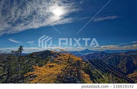 甲部新嶽山頂落葉松和富士山的黃葉景觀 甲部新嶽山頂落葉松和富士山的黃葉景觀 116019142