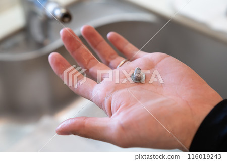 修理水龍頭的承包商 116019243