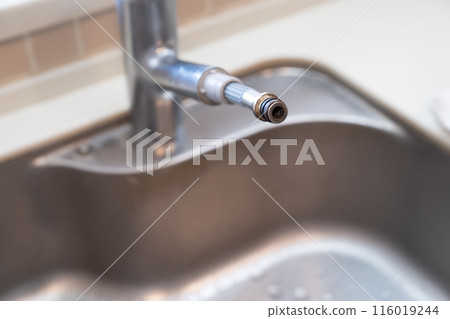 廚房水龍頭 廚房水龍頭 116019244
