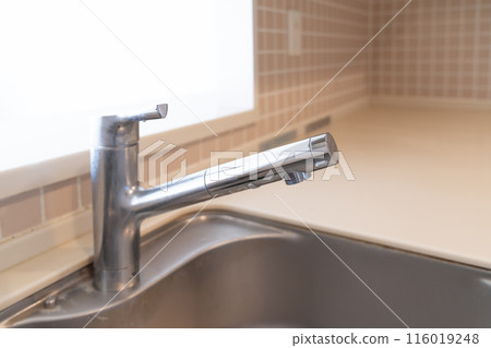 Kitchen faucet 116019248