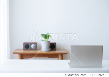 家庭工作區:筆記型電腦、室內植物和揚聲器 家庭工作區:筆記型電腦、室內植物和揚聲器 116019249