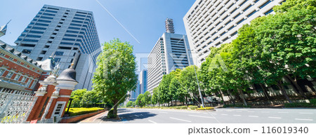 "Tokyo" Sakurada-dori, in front of the former Ministry of Justice building, Chiyoda-ku 116019340