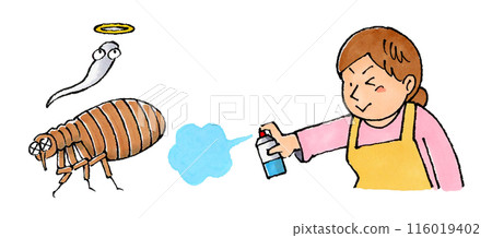 A housewife using insecticide on fleas 116019402