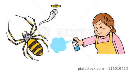 A housewife uses insecticide on a silver spider 116019413