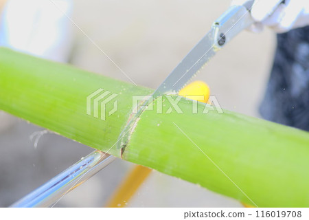 Bamboo cutting craftsmanship Bamboo cutting craftsmanship 116019708