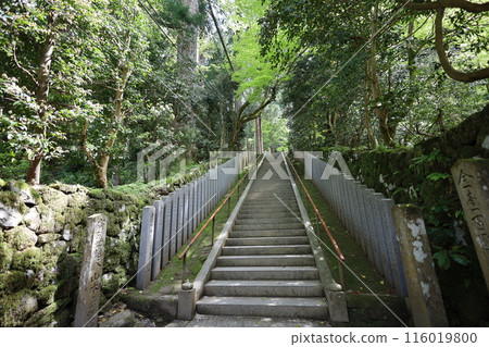 Sanin, spring, early summer in Tottori, climbing Mt. Mitoku, climbing Mt. Mitoku, climbing Mt. Nageiredo, trips to national parks, many designated cultural properties and national treasures Sanin, spring, early summer in Tottori, climbing Mt. Mitoku, climbing Mt. Mitoku, climbing Mt. Nageiredo, trips to national parks, many designated cultural properties and national treasures 116019800