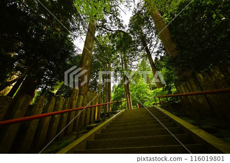Sanin, spring, early summer in Tottori, climbing Mt. Mitoku, climbing Mt. Mitoku, climbing Mt. Nageiredo, trips to national parks, many designated cultural properties and national treasures Sanin, spring, early summer in Tottori, climbing Mt. Mitoku, climbing Mt. Mitoku, climbing Mt. Nageiredo, trips to national parks, many designated cultural properties and national treasures 116019801