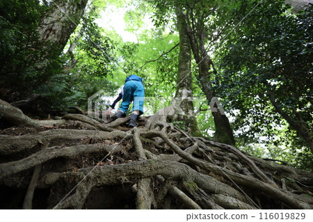 Sanin, spring, early summer in Tottori, climbing Mt. Mitoku, climbing Mt. Mitoku, climbing Mt. Nageiredo, trips to national parks, many designated cultural properties and national treasures 116019829