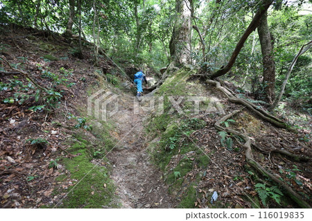 春季和初夏的山陰、鳥取、三德山、三德山、攀登投入堂、遊覽國立公園、眾多指定文化遺產和國寶。 116019835