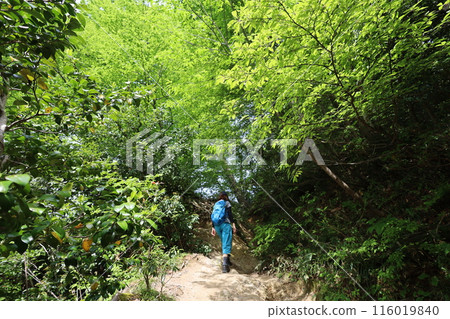 Sanin, spring, early summer in Tottori, climbing Mt. Mitoku, climbing Mt. Mitoku, climbing Mt. Nageiredo, trips to national parks, many designated cultural properties and national treasures Sanin, spring, early summer in Tottori, climbing Mt. Mitoku, climbing Mt. Mitoku, climbing Mt. Nageiredo, trips to national parks, many designated cultural properties and national treasures 116019840
