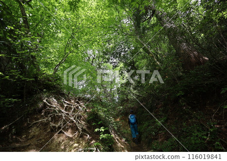 Sanin, spring, early summer in Tottori, climbing Mt. Mitoku, climbing Mt. Mitoku, climbing Mt. Nageiredo, trips to national parks, many designated cultural properties and national treasures Sanin, spring, early summer in Tottori, climbing Mt. Mitoku, climbing Mt. Mitoku, climbing Mt. Nageiredo, trips to national parks, many designated cultural properties and national treasures 116019841