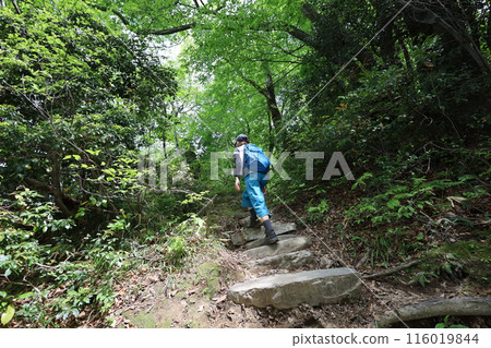 Sanin, spring, early summer in Tottori, climbing Mt. Mitoku, climbing Mt. Mitoku, climbing Mt. Nageiredo, trips to national parks, many designated cultural properties and national treasures Sanin, spring, early summer in Tottori, climbing Mt. Mitoku, climbing Mt. Mitoku, climbing Mt. Nageiredo, trips to national parks, many designated cultural properties and national treasures 116019844