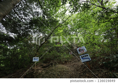 春季和初夏的山陰、鳥取、三德山、三德山、攀登投入堂、遊覽國立公園、眾多指定文化遺產和國寶。 116019849