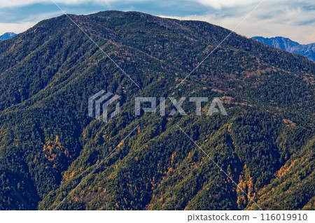 從小布希嶽山頂眺望紅葉的國志岳 116019910
