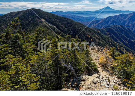 從小布希神嶽山頂眺望富士山 從小布希神嶽山頂眺望富士山 116019917