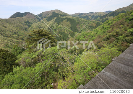 Sanin, spring, early summer in Tottori, climbing Mt. Mitoku, climbing Mt. Mitoku, climbing Mt. Nageiredo, trips to national parks, many designated cultural properties and national treasures 116020083