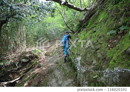 春季和初夏的山陰、鳥取、三德山、三德山、攀登投入堂、遊覽國立公園、眾多指定文化遺產和國寶。 春季和初夏的山陰、鳥取、三德山、三德山、攀登投入堂、遊覽國立公園、眾多指定文化遺產和國寶。 116020101