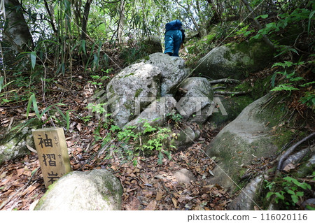 Sanin, spring, early summer in Tottori, climbing Mt. Mitoku, climbing Mt. Mitoku, climbing Mt. Nageiredo, trips to national parks, many designated cultural properties and national treasures 116020116