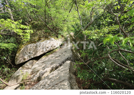 Sanin, spring, early summer in Tottori, climbing Mt. Mitoku, climbing Mt. Mitoku, climbing Mt. Nageiredo, trips to national parks, many designated cultural properties and national treasures Sanin, spring, early summer in Tottori, climbing Mt. Mitoku, climbing Mt. Mitoku, climbing Mt. Nageiredo, trips to national parks, many designated cultural properties and national treasures 116020120