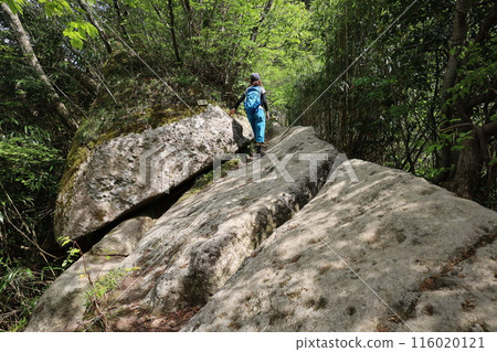 Sanin, spring, early summer in Tottori, climbing Mt. Mitoku, climbing Mt. Mitoku, climbing Mt. Nageiredo, trips to national parks, many designated cultural properties and national treasures 116020121