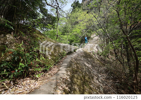 春季和初夏的山陰、鳥取、三德山、三德山、攀登投入堂、遊覽國立公園、眾多指定文化遺產和國寶。 春季和初夏的山陰、鳥取、三德山、三德山、攀登投入堂、遊覽國立公園、眾多指定文化遺產和國寶。 116020125