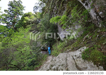 春季和初夏的山陰、鳥取、三德山、三德山、攀登投入堂、遊覽國立公園、眾多指定文化遺產和國寶。 春季和初夏的山陰、鳥取、三德山、三德山、攀登投入堂、遊覽國立公園、眾多指定文化遺產和國寶。 116020130