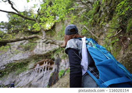 春季和初夏的山陰、鳥取、三德山、三德山、攀登投入堂、遊覽國立公園、眾多指定文化遺產和國寶。 春季和初夏的山陰、鳥取、三德山、三德山、攀登投入堂、遊覽國立公園、眾多指定文化遺產和國寶。 116020154