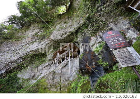 Sanin, spring, early summer in Tottori, climbing Mt. Mitoku, climbing Mt. Mitoku, climbing Mt. Nageiredo, trips to national parks, many designated cultural properties and national treasures Sanin, spring, early summer in Tottori, climbing Mt. Mitoku, climbing Mt. Mitoku, climbing Mt. Nageiredo, trips to national parks, many designated cultural properties and national treasures 116020168