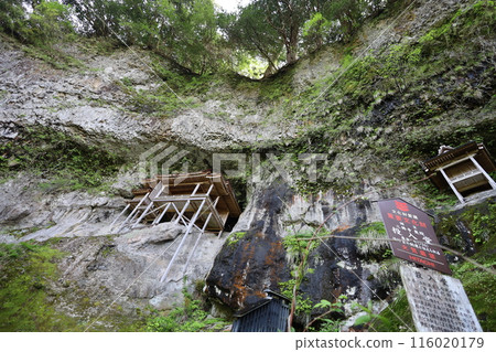 春季和初夏的山陰、鳥取、三德山、三德山、攀登投入堂、遊覽國立公園、眾多指定文化遺產和國寶。 春季和初夏的山陰、鳥取、三德山、三德山、攀登投入堂、遊覽國立公園、眾多指定文化遺產和國寶。 116020179