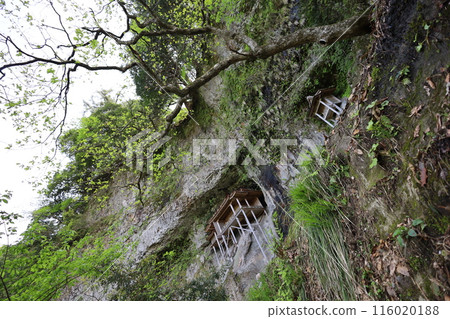 Sanin, spring, early summer in Tottori, climbing Mt. Mitoku, climbing Mt. Mitoku, climbing Mt. Nageiredo, trips to national parks, many designated cultural properties and national treasures 116020188