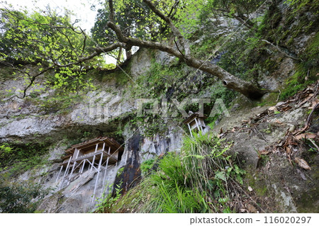 Sanin, spring, early summer in Tottori, climbing Mt. Mitoku, climbing Mt. Mitoku, climbing Mt. Nageiredo, trips to national parks, many designated cultural properties and national treasures Sanin, spring, early summer in Tottori, climbing Mt. Mitoku, climbing Mt. Mitoku, climbing Mt. Nageiredo, trips to national parks, many designated cultural properties and national treasures 116020297