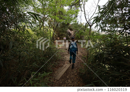 Sanin, spring, early summer in Tottori, climbing Mt. Mitoku, climbing Mt. Mitoku, climbing Mt. Nageiredo, trips to national parks, many designated cultural properties and national treasures Sanin, spring, early summer in Tottori, climbing Mt. Mitoku, climbing Mt. Mitoku, climbing Mt. Nageiredo, trips to national parks, many designated cultural properties and national treasures 116020319