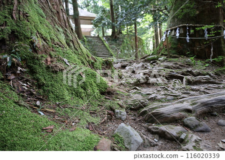 Sanin, spring, early summer in Tottori, climbing Mt. Mitoku, climbing Mt. Mitoku, climbing Mt. Nageiredo, trips to national parks, many designated cultural properties and national treasures 116020339